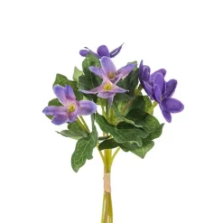Blåsippa