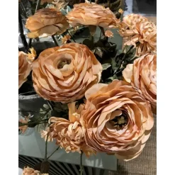Chrysanthemum torkad