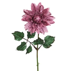 Dahlia