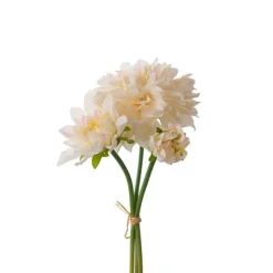 Dahliabunt