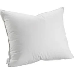 Dunkudde