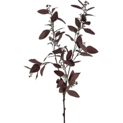 Flergrenad eucalyptus