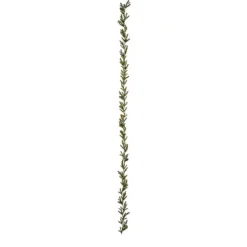 Grangirlang