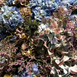 Hortensia snittblomma