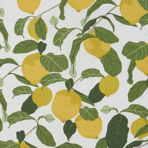 Limone CTC-duk