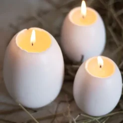 Ljusägg med gula