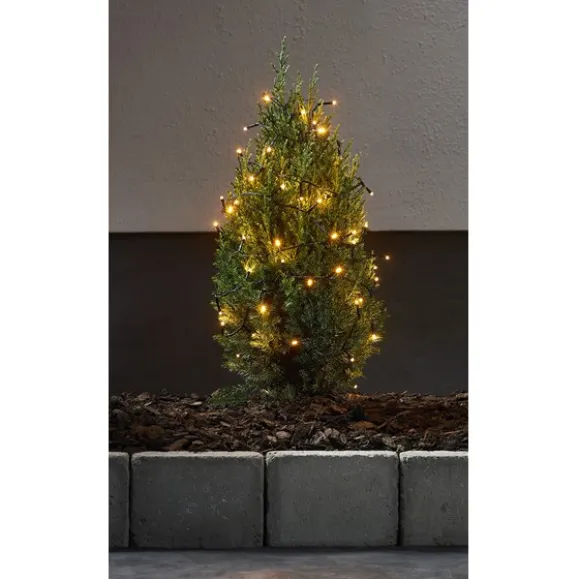 Ljusslinga LED Golden Warm White