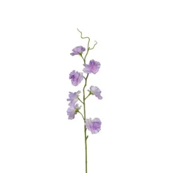 Luktärt