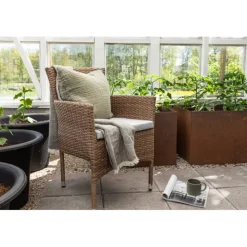 Malina matstol 2-pack