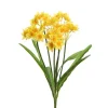 Narcisser