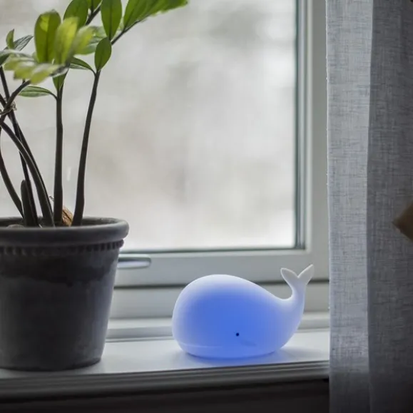 Nattlampa LED – kläm för färgbyte