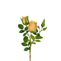Ros trestänglad