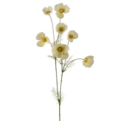 Rosenskära