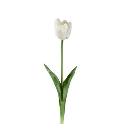 Tulpan 45 cm