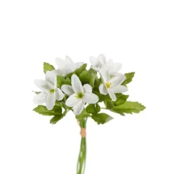 Vitsippa